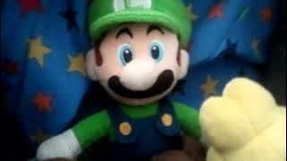 Luigi (The awesome Tanooki plush bros)