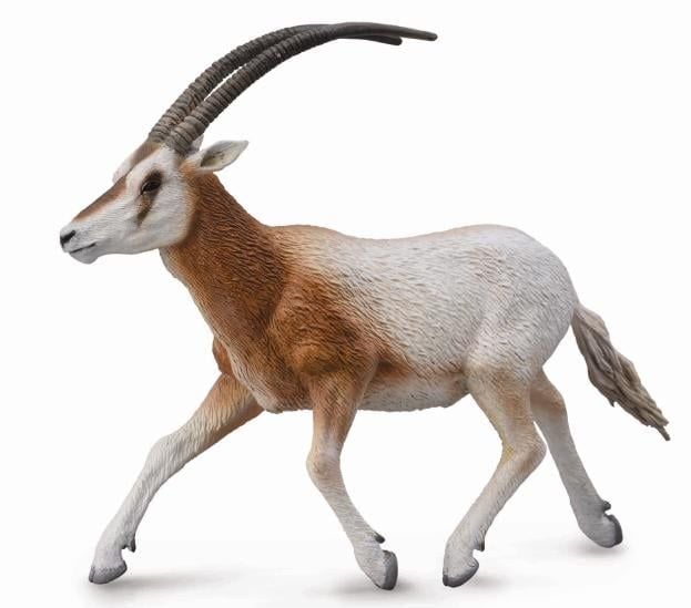 Aquamarine the Scimitar-Horned Oryx