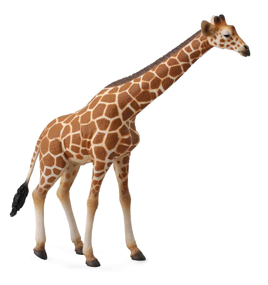 Android 18 The Reticulated Giraffe