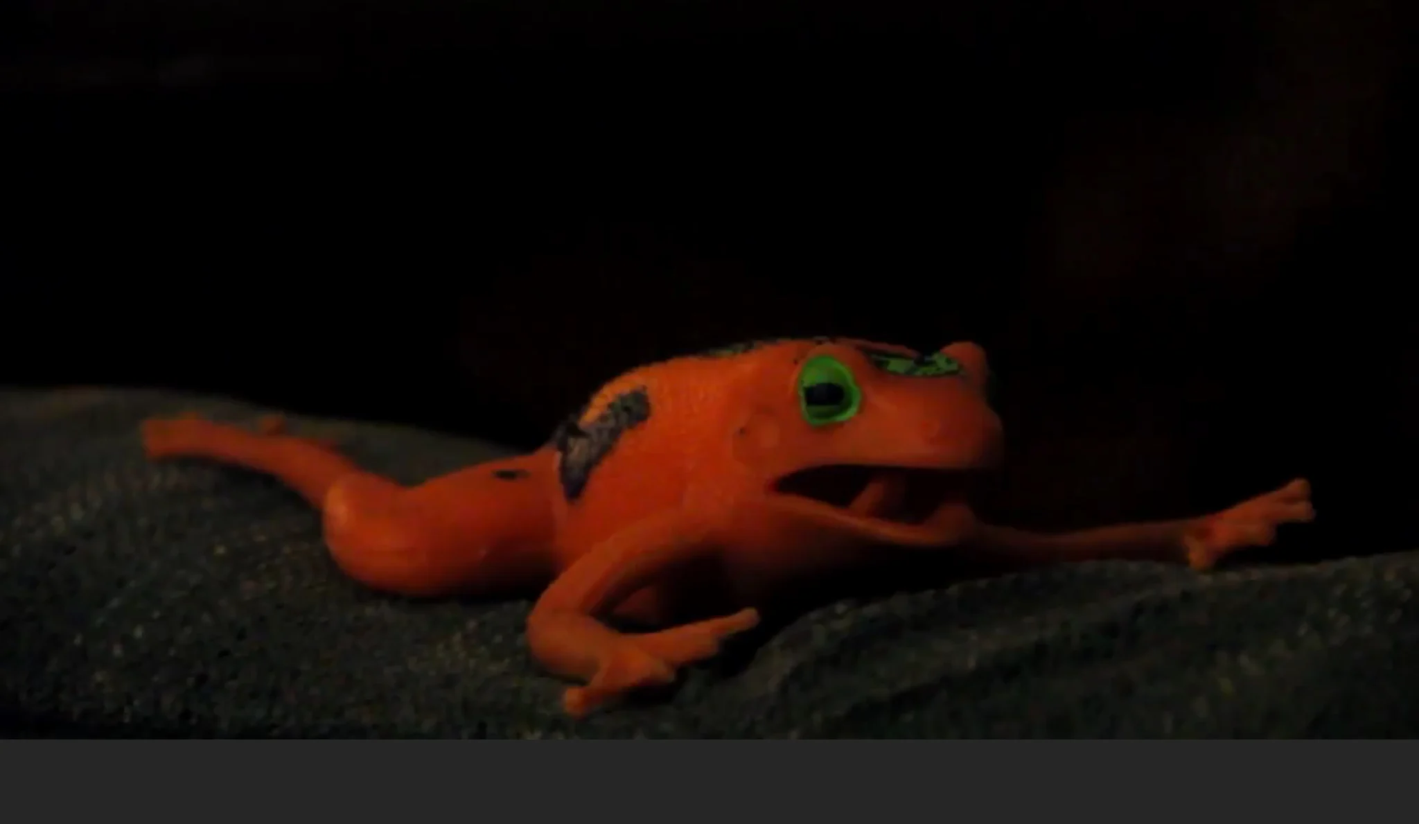 Froggy (Pioneers Productions)