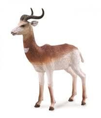 Nigala The Dama Gazelle