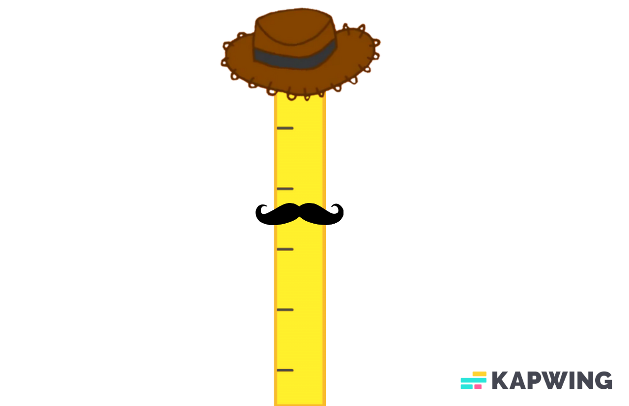 Mr ruler