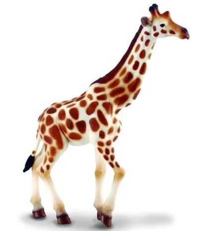 Grace Howard The Western African Giraffe