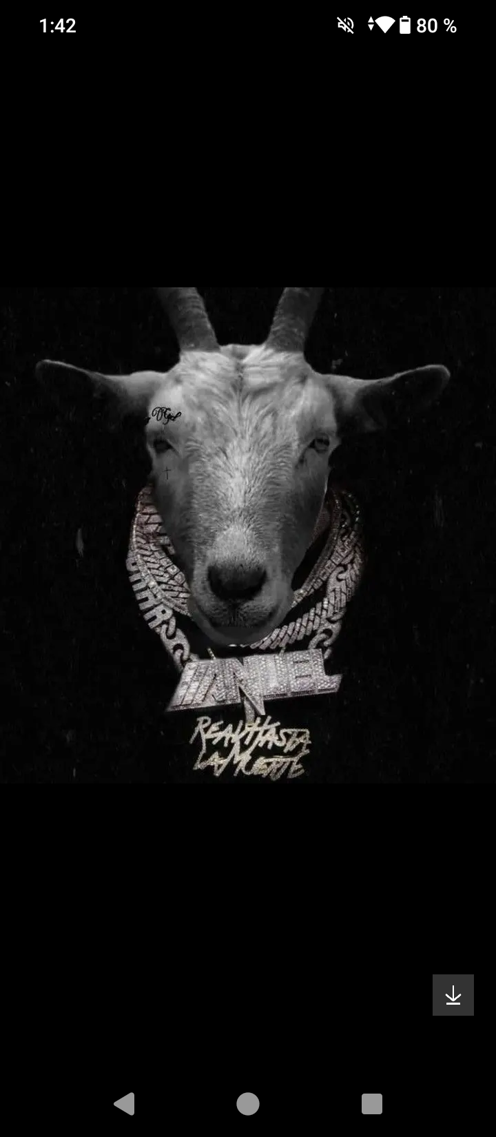 Anuel Nunca Sapo
