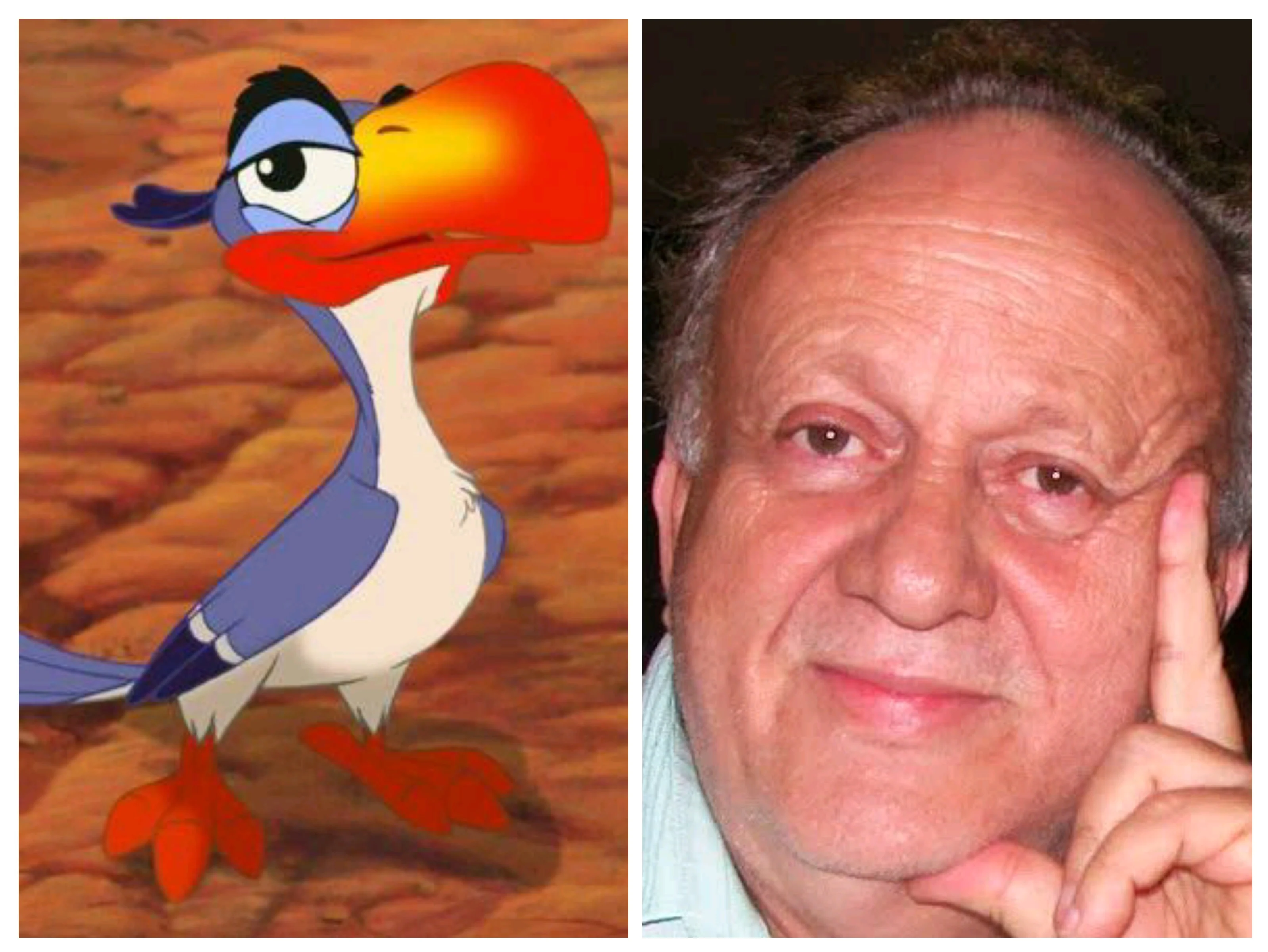 Zazu, O rei leão - Pádua Moreira PT-BR