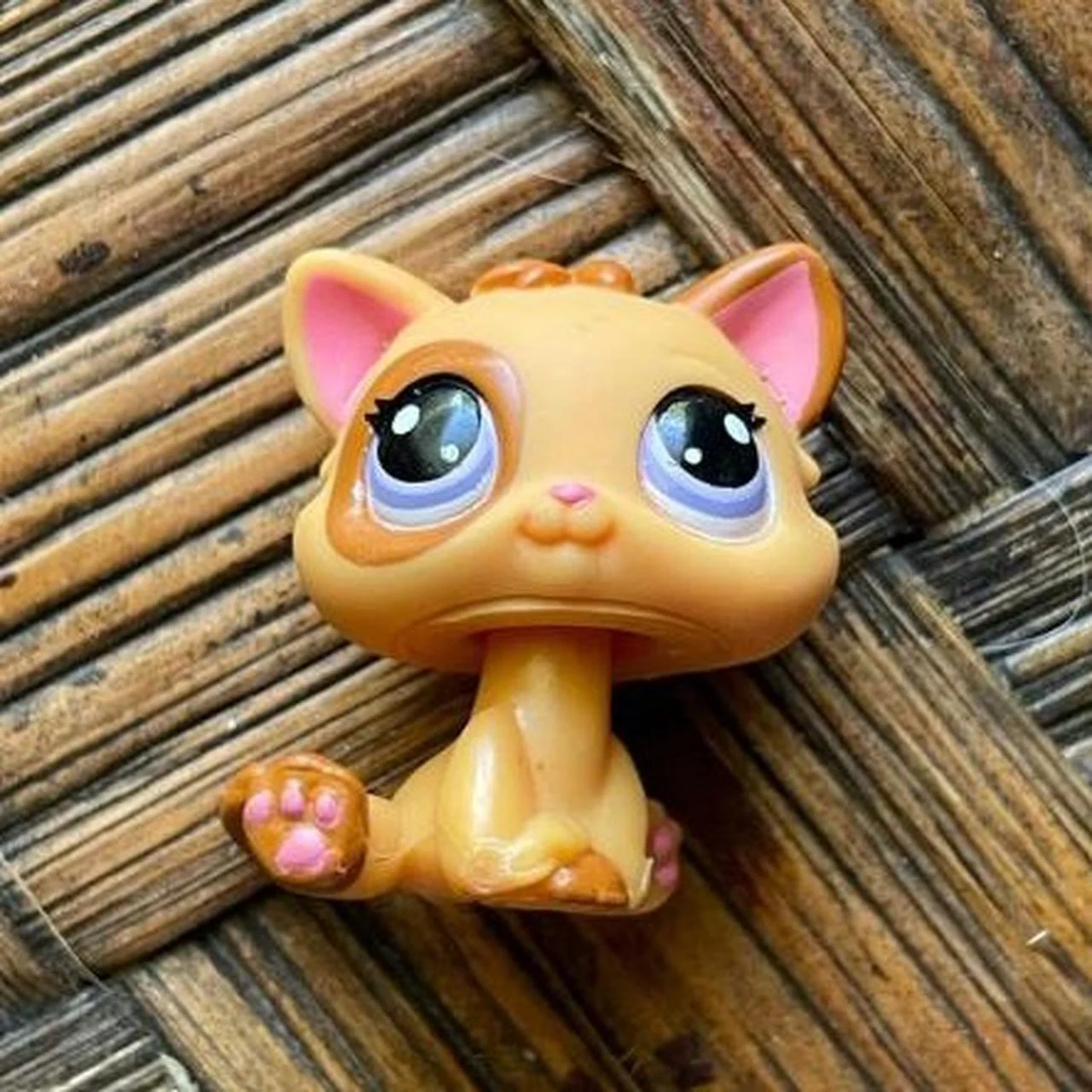 Talkify Pets - Kitten - 01