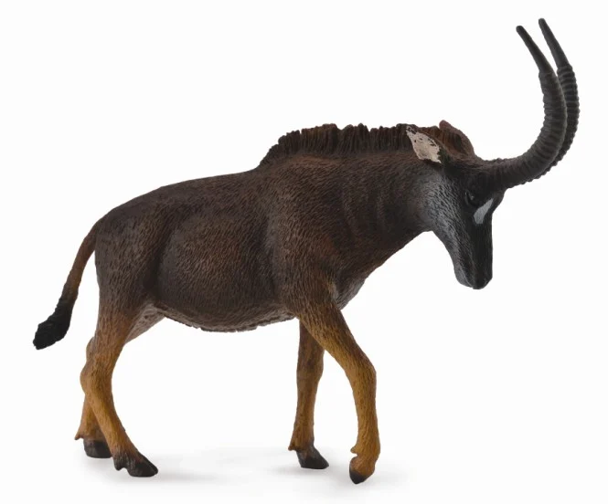 Nojiko The Sable Antelope