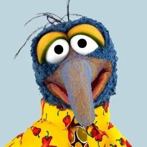 Gonzo the muppets 