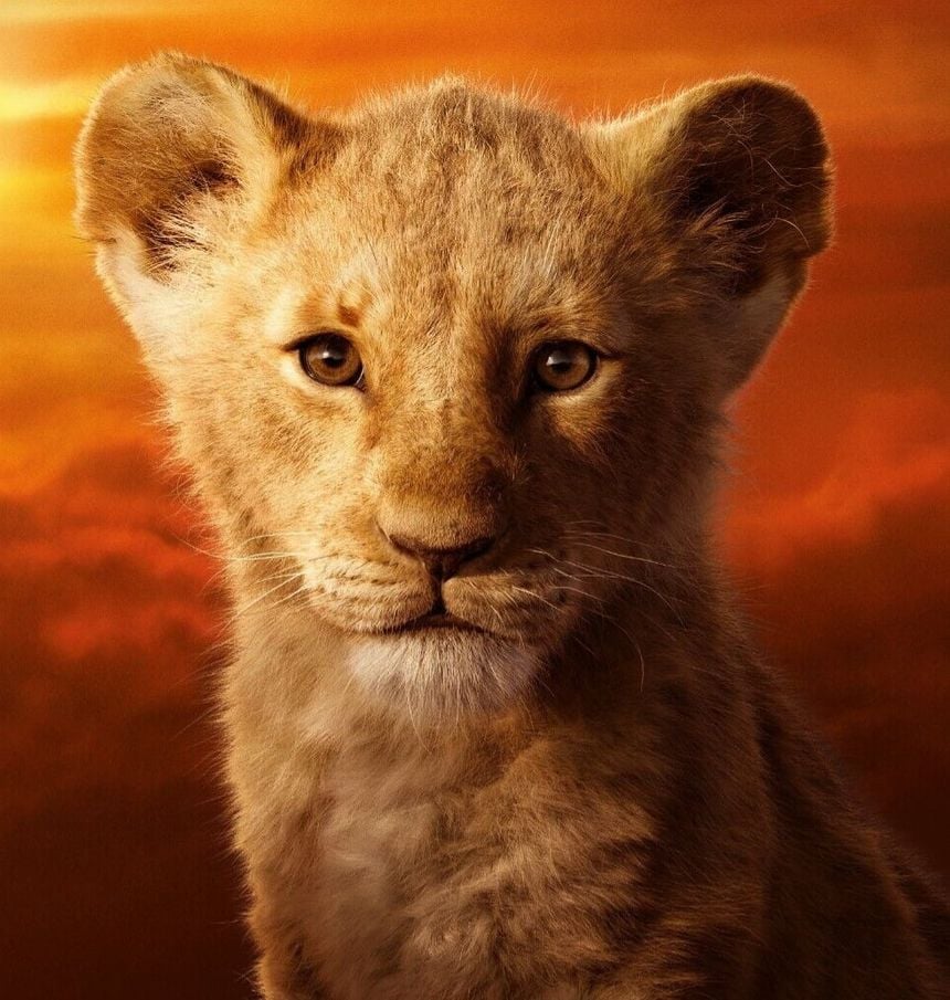 Simba (Cub) (The Lion King) (2019)