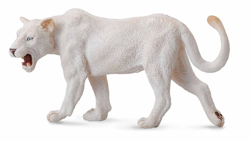 Ladany The White Lionesses