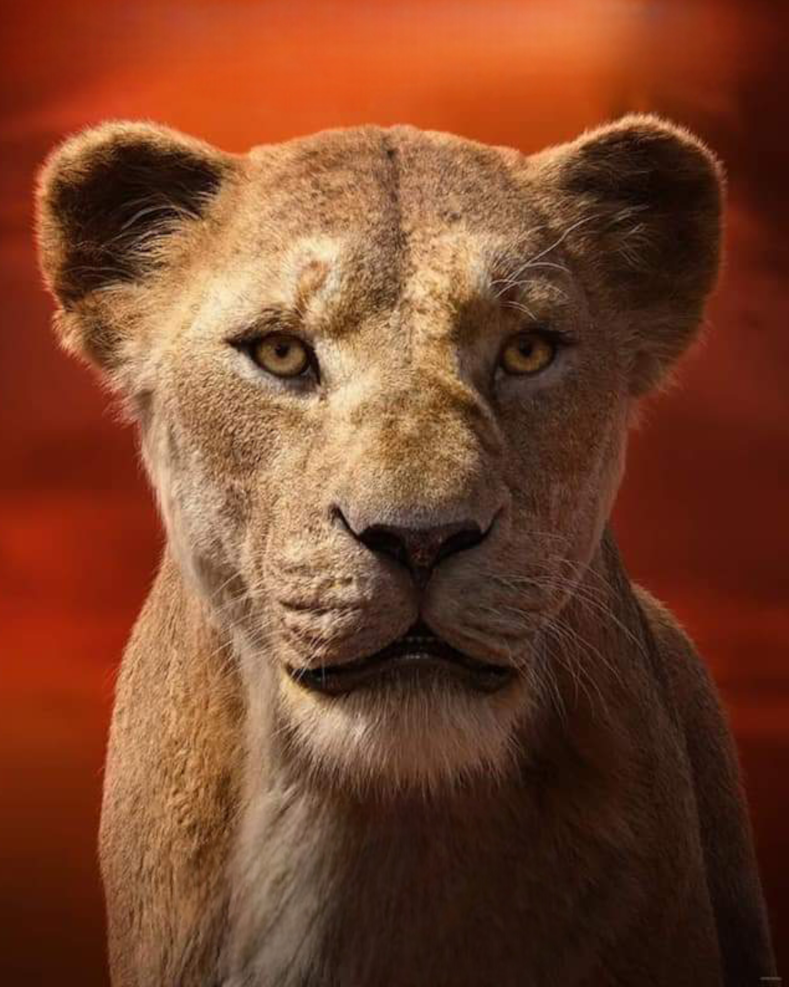 Sarabi (The Lion King) (2019)