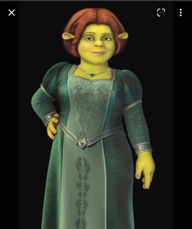 FIONA PT - BR