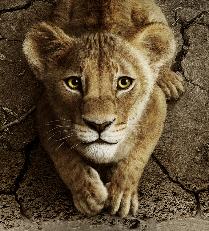 Taka/Scar (Cub) (Mufasa The Lion King) (2024)
