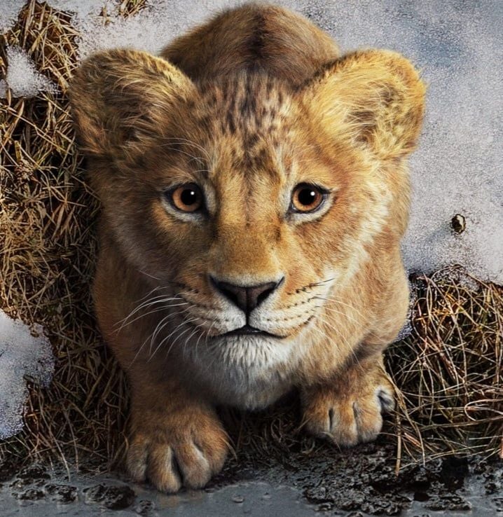 Mufasa (Cub) (Mufasa The Lion King) (2024)