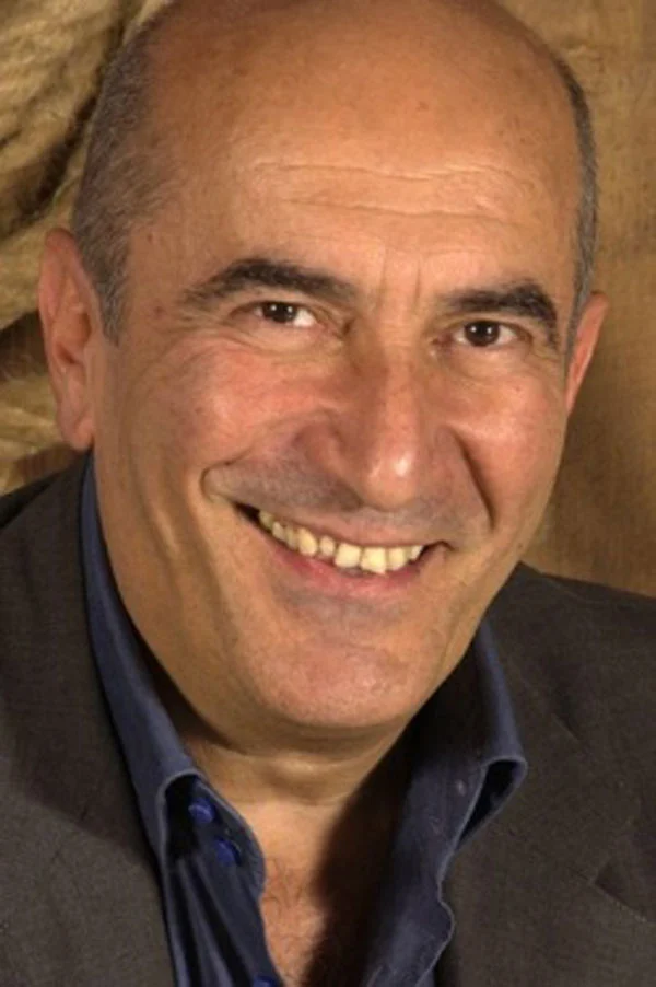 Stefano De Sando (Italian Voice Actor)