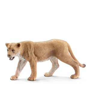 angel nichole bradford the lioness