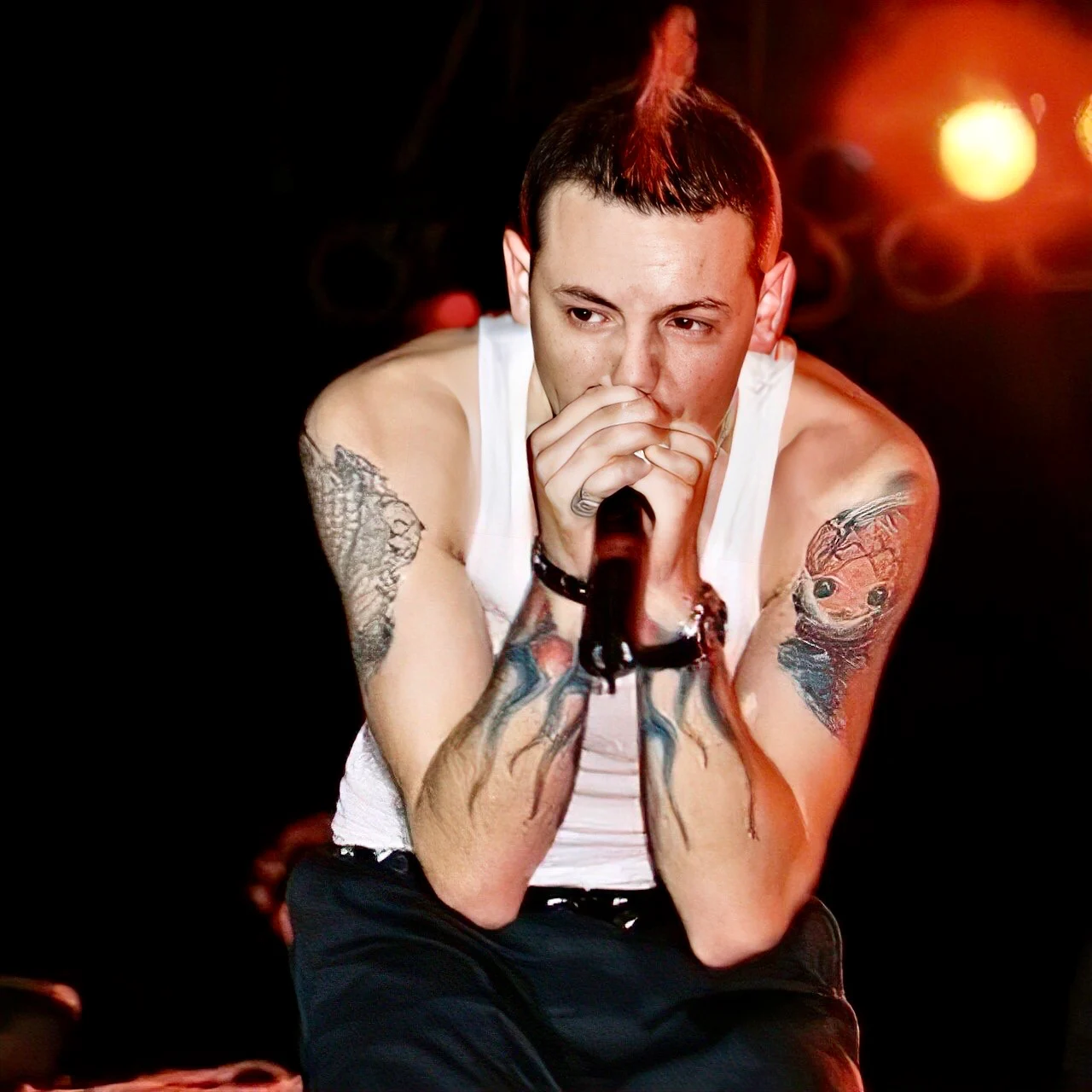 Chester Bennington (Hybrid Theory + Meteora + Live In Texas)