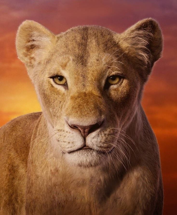 Nala (The Lion King) (2019)