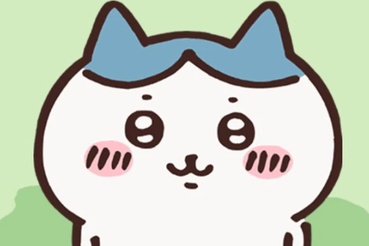 USAGI