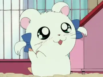 Bijou (Japanese Dub, Hamtaro)