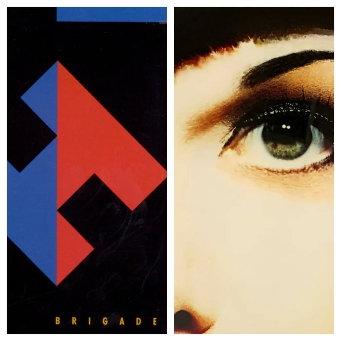 Ann Wilson (Brigade, Desire Walks On Eras)