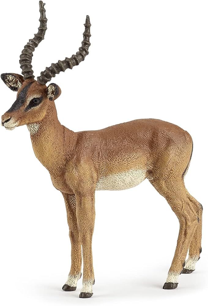 shizuka marikawa the impala