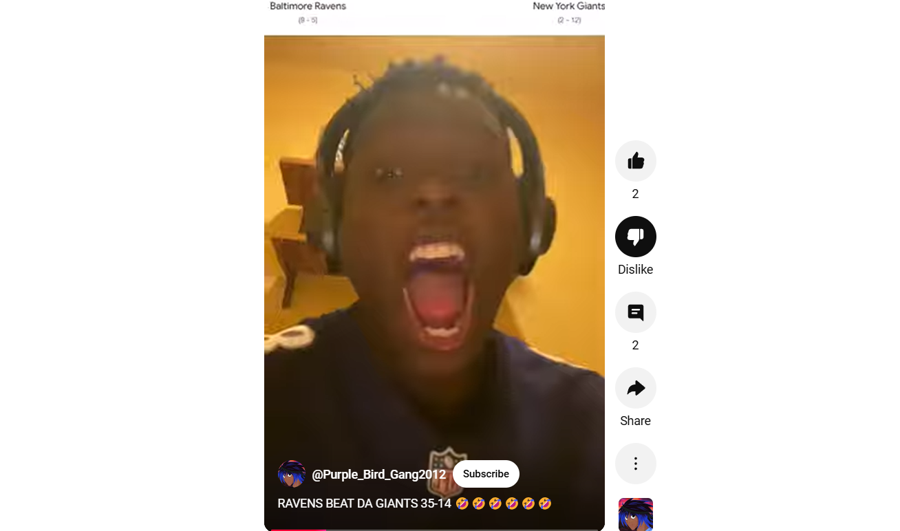 ravens fanatic