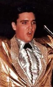 Elvis Presley (It Feels So Right Era)