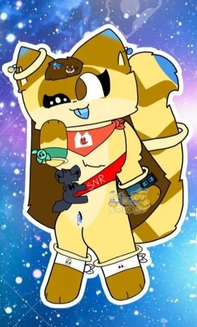 Sandy The Raccoon
