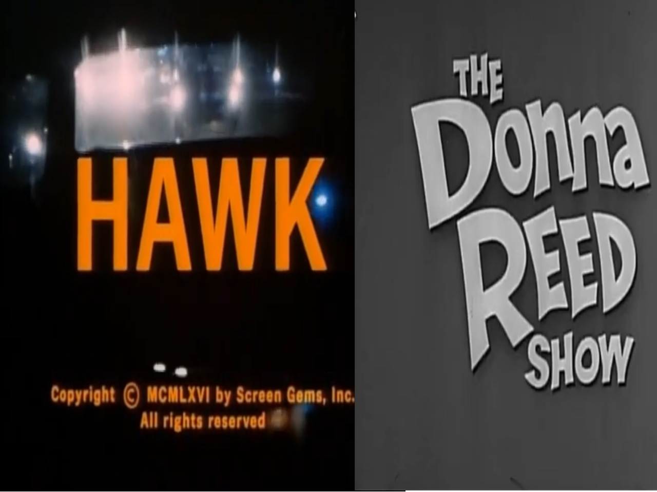HAWK/THE DONNA REED SHOW VOICES RARE 1960s