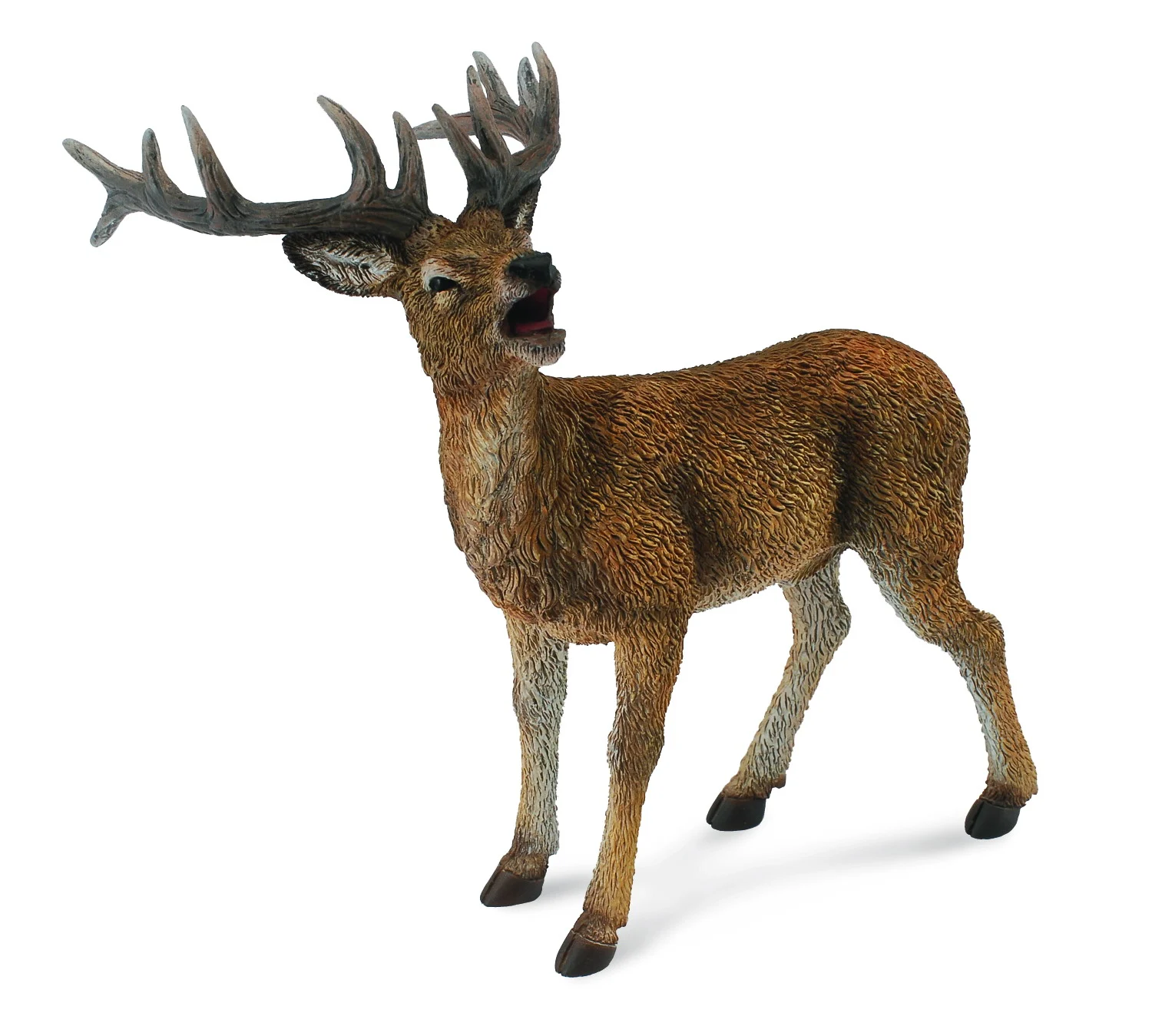 Shadi the Red Deer Stag
