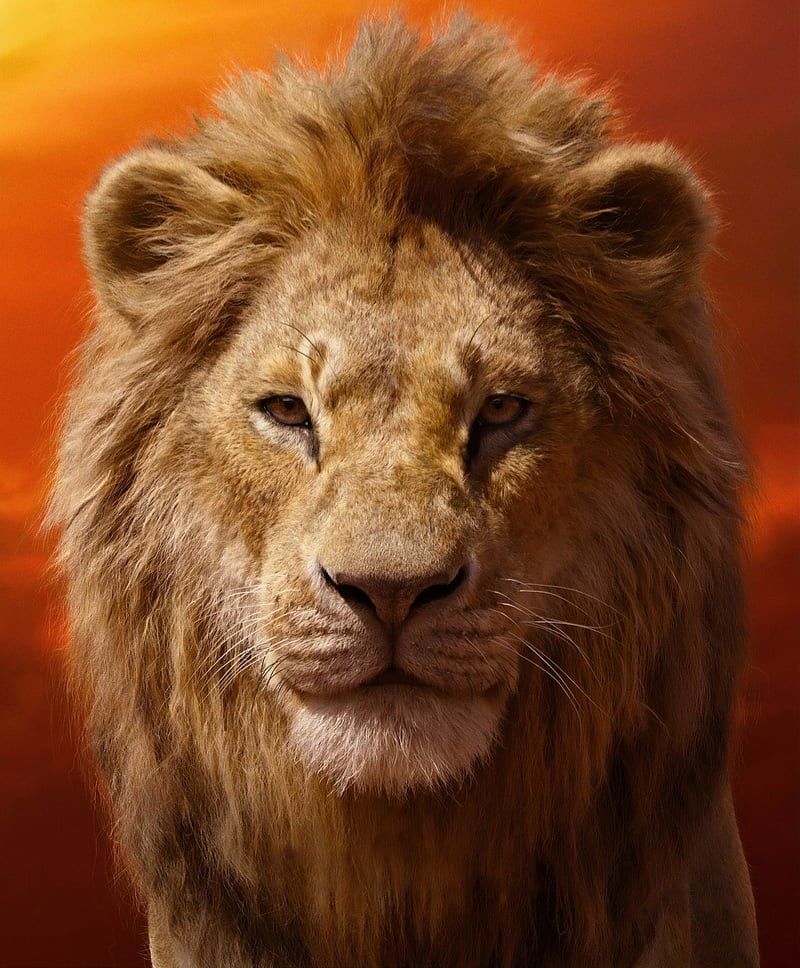 Simba (The Lion King) (2019)