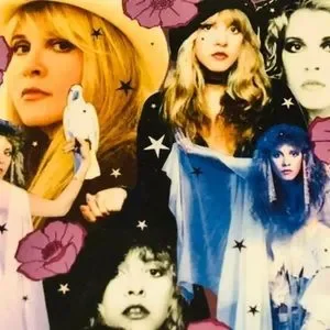 Stevie Nicks (The Complete Fleetwood Mac Eras)