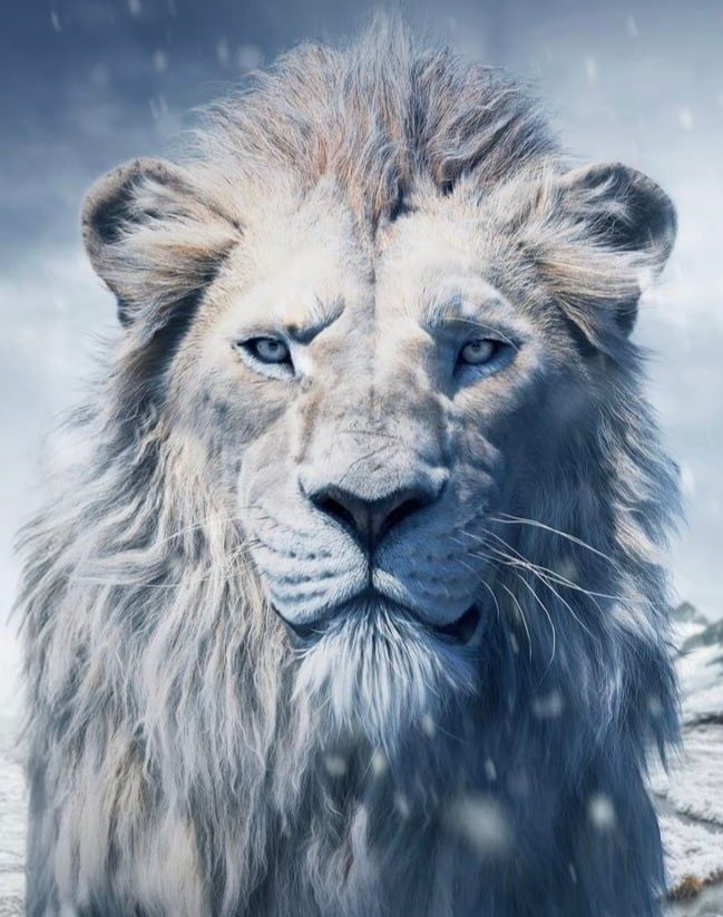 Kiros (Mads Mikkelsen) (Disney) (Mufasa The Lion King) (2024)