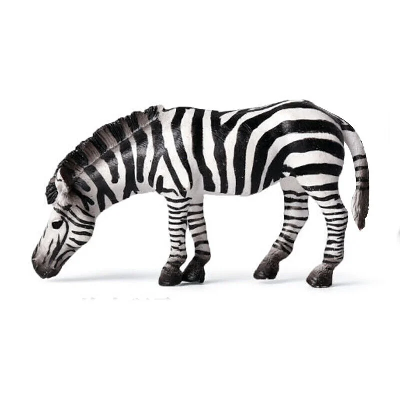 Medusa The Zebra