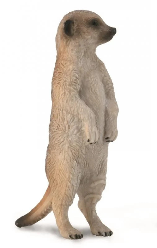 IBRAYEV MARK VENEROVICH The Meerkat Rus
