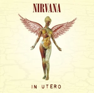 In Utero guitar