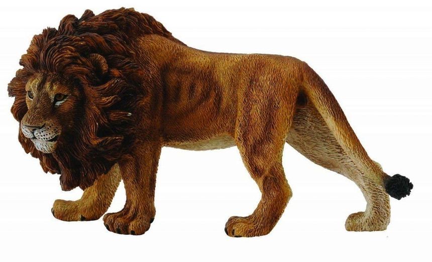 DAVE The African Lion