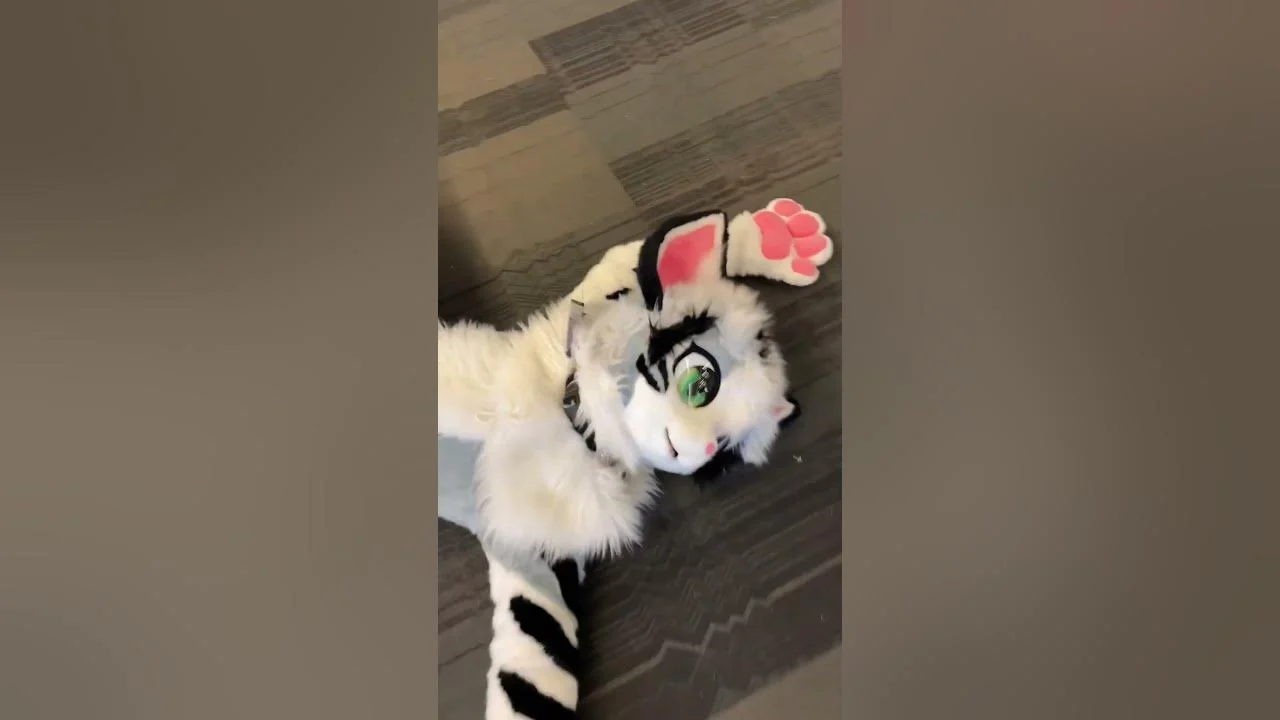Kotetsu-Nyan