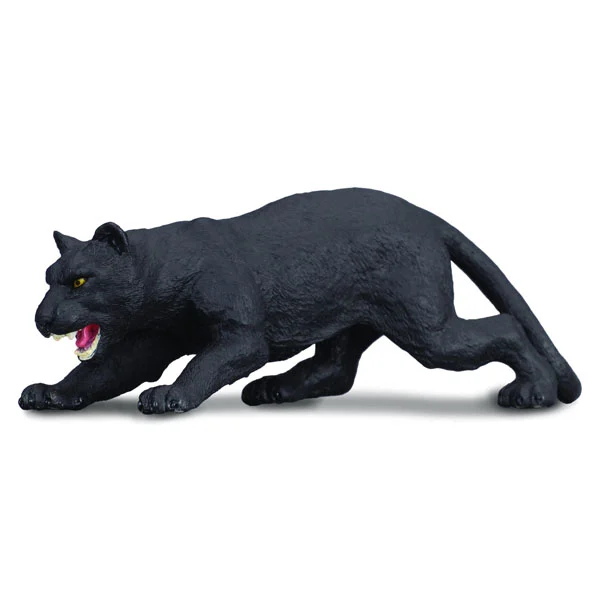 Star Kenyy The Panther