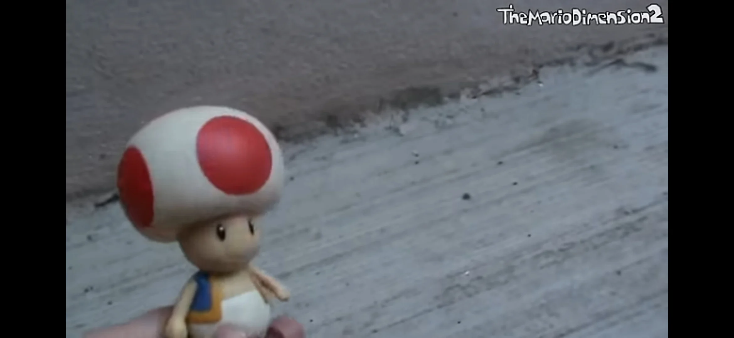Toad dmb