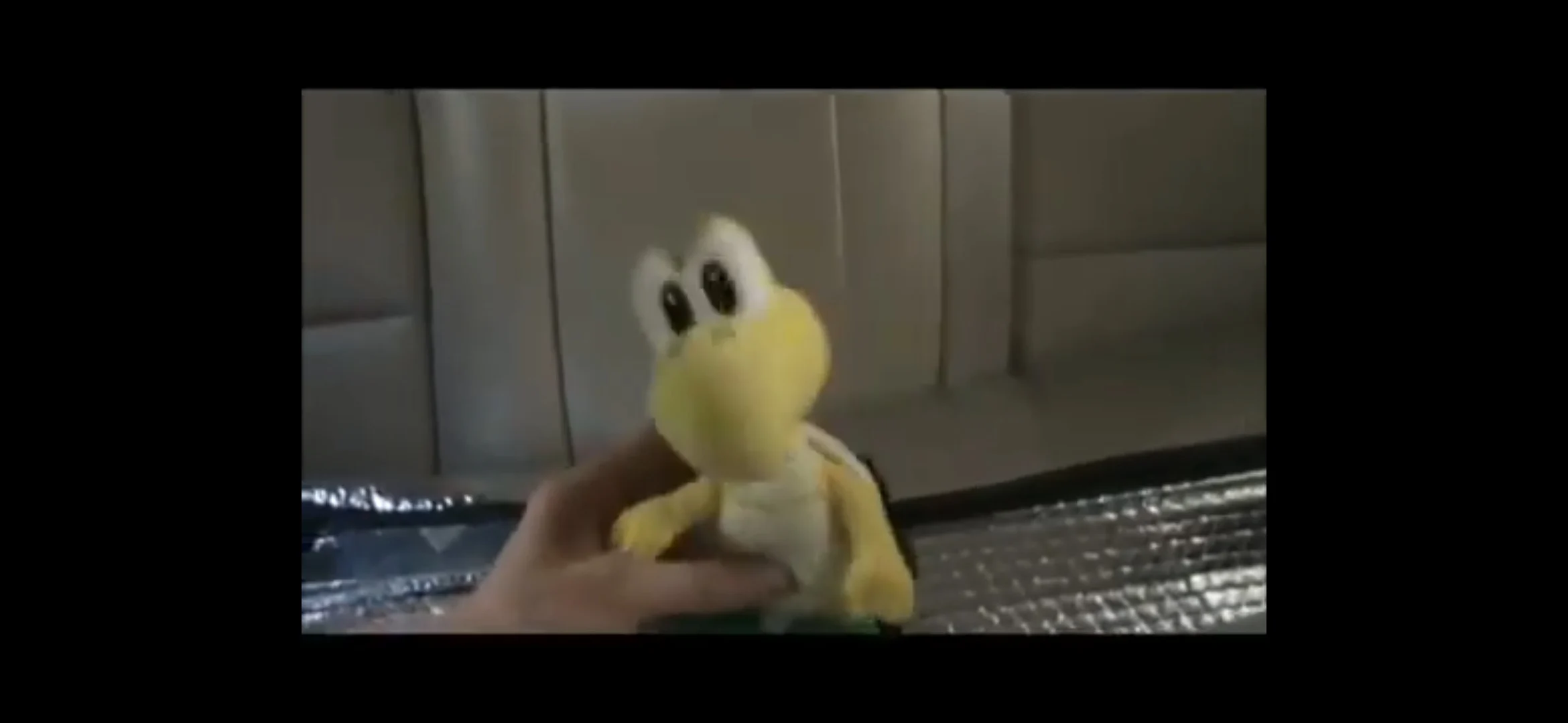 Koopa