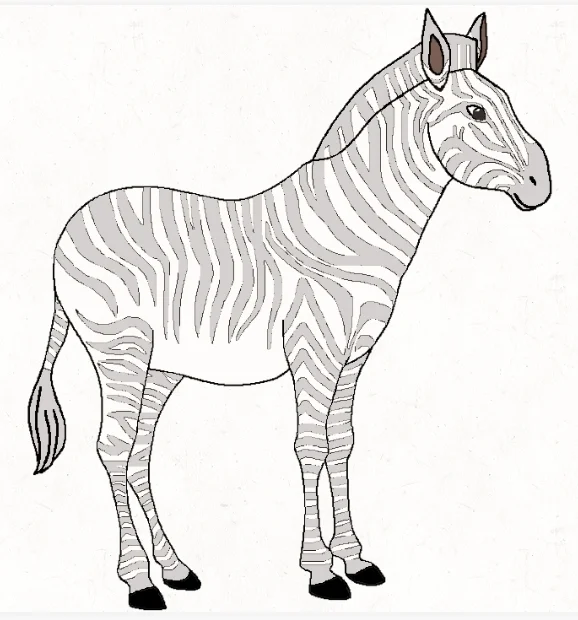 Prince Leo The Gray grevy's zebra