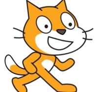 scratch cat