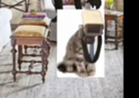 mr whiskers YouTube 