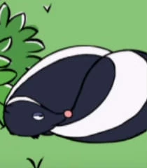 Skunk (PATBWW)