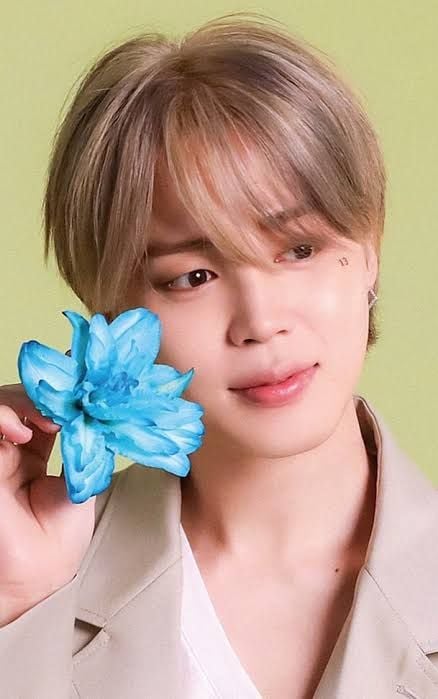 Jimin; MUSE era (BTS)