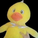 Ducky (AquaticZaq1)