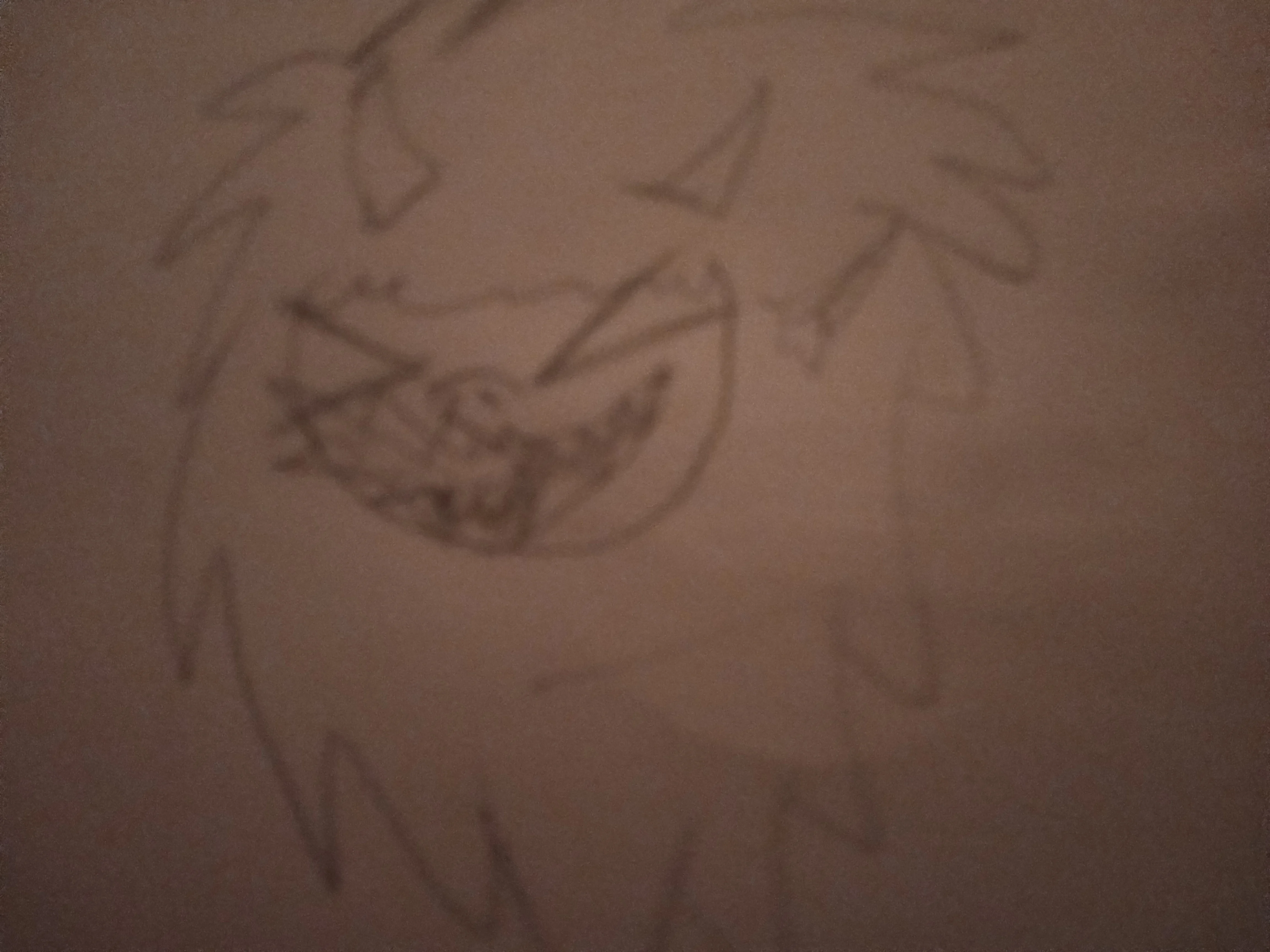 Dracko (another FPE OC, but this time a girl)