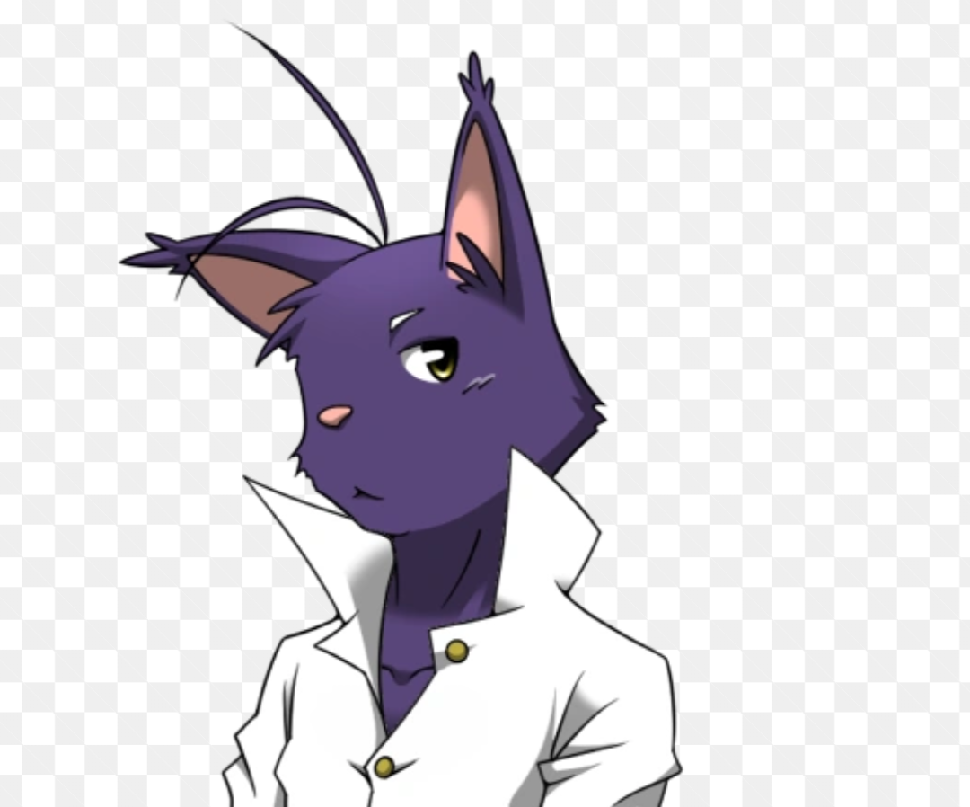 Shin kuroi 😾(morenatsu) intento